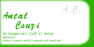 antal csuzi business card